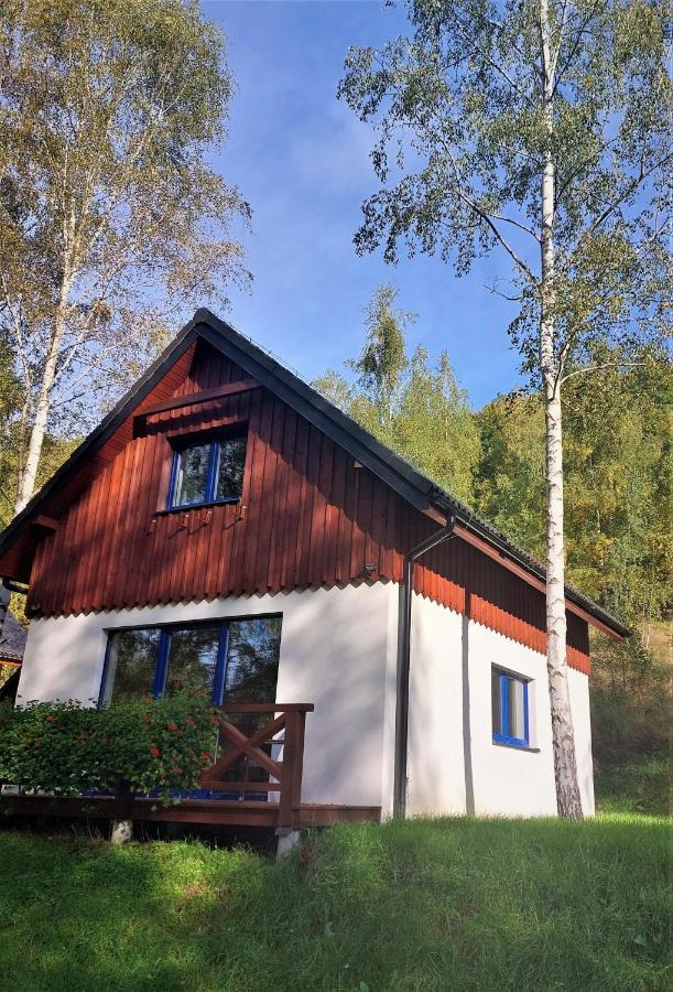 Winny Domek W Radochowie Ladek-Zdroj Exterior photo